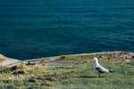 4-0751-IMG_1831