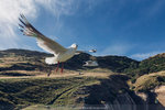 4-0782-IMG_1922