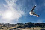 4-0787-IMG_1934