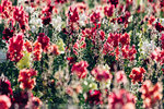 4-0884-IMG_2053