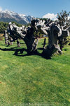 7-0328-IMG_4124