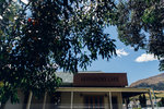 7-0330-IMG_4129