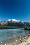 7-0333-IMG_4134