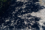 7-0347-IMG_4156