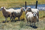 7-0370-IMG_4176