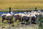 7-0371-IMG_4181