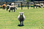 7-0380-IMG_4192