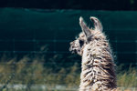 7-0414-IMG_4215
