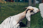7-0416-IMG_4219