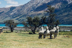 7-0426-IMG_4234