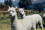 7-0427-IMG_4237