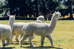 7-0442-IMG_4243