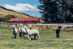 7-0495-IMG_4293