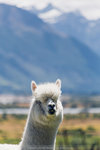 7-0512-IMG_4326