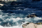 6-0018-IMG_2962
