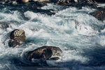 6-0026-IMG_2982