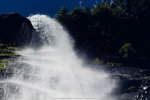 6-0133-IMG_3124