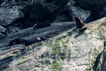 6-0184-IMG_3266