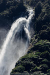 6-0237-IMG_3369