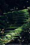 6-0270-IMG_3392