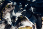 6-0277-IMG_3414