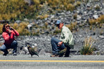 6-0296-IMG_3434