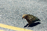 6-0299-IMG_3442