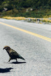 6-0301-IMG_3446