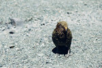 6-0304-IMG_3456