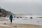 3-0046-IMG_0364