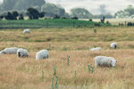 3-0060-IMG_0394