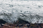 7-0010-IMG_3705