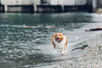 7-0155-IMG_3850