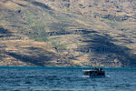 7-0256-IMG_4019