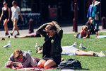 7-0561-IMG_4410