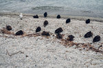 7-0767-P1140161