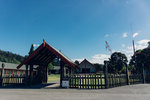 DSC09254