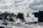 IMG_8190
