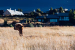 10-0021-IMG_5111