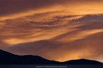 10-0155-IMG_5383