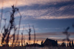 10-0169-IMG_5417