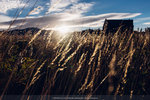 10-0277a-IMG_5596