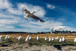 10-0340-IMG_5758