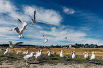 10-0341-IMG_5760