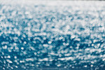10-0378-IMG_5821