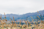 9-0080-IMG_4710