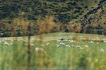 9-0084-IMG_4719
