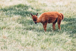 9-0137-IMG_4789