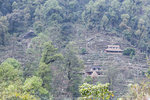 IMG_7746