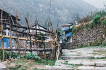 IMG_8030